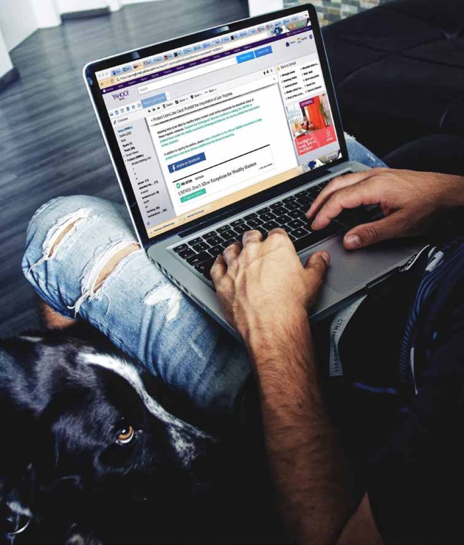 3 Core Rules for Your Email Marketing